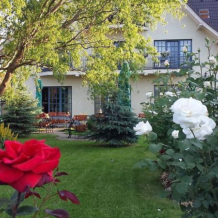 Villa Westfalia Guest House Tirgu Secuiesc Exterior photo