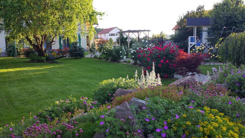 Villa Westfalia Guest House Tirgu Secuiesc Exterior photo